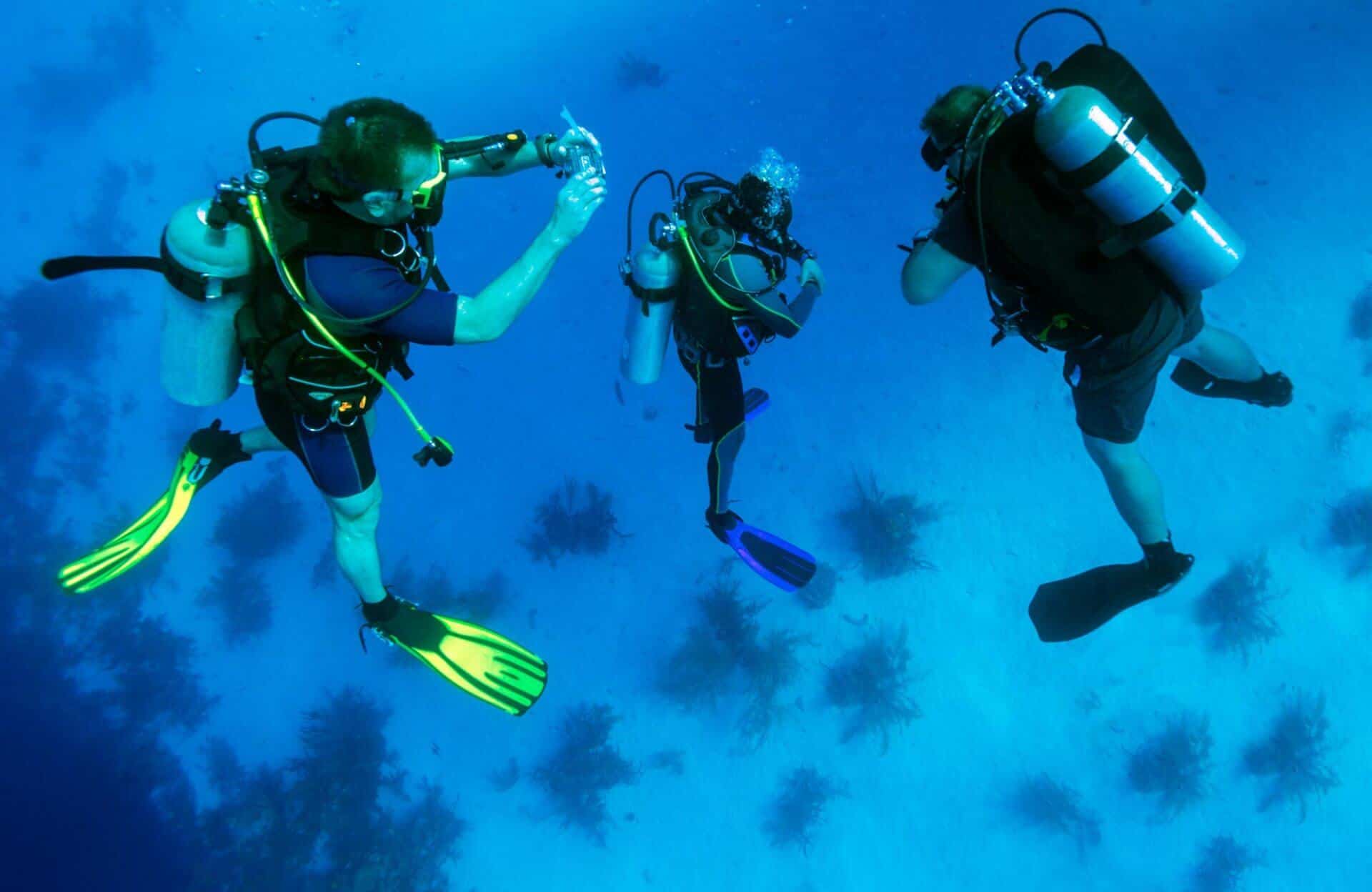 diving1