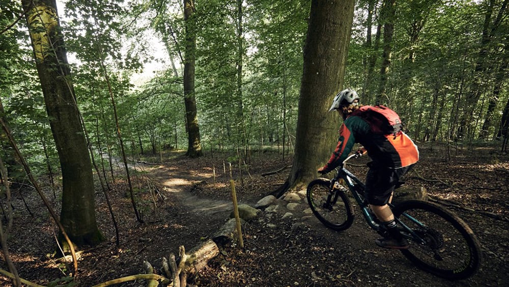 mountainbike2